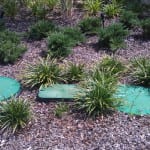 Septic System Design in Spring Hill, Florida