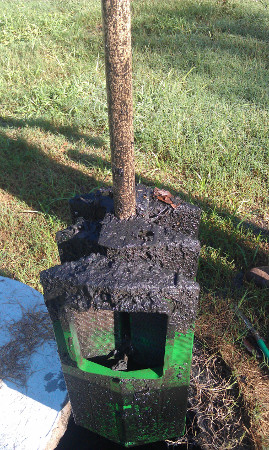 Clogged Effluent Filter1