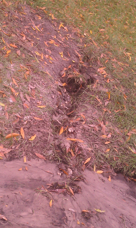 Roof Runoff Causes Damage1