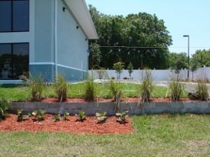 Engineered Designed Septic