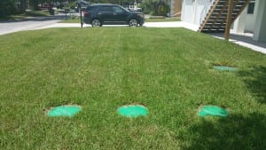 Drip Irrigation System Installation