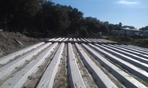 Package Plant Installations in Land O’ Lakes, Florida