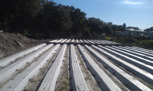 Package Plant Installations in Orlando, Florida