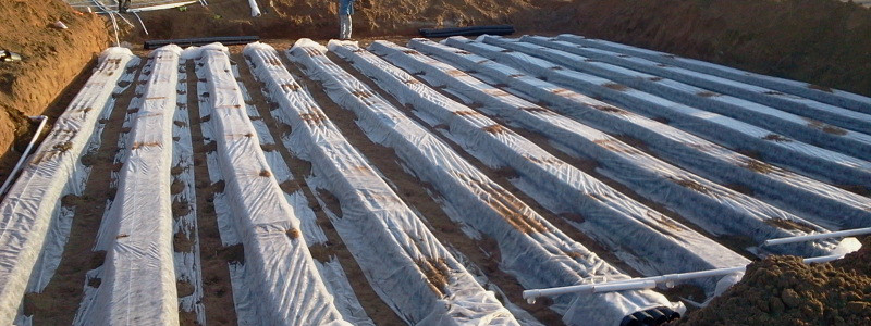 Drain Field Design in Brooksville, Florida