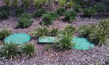 Septic System Design in Brooksville, Florida