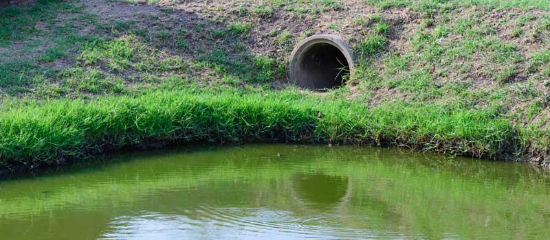 Commercial Septic Drain Field in Tampa, Florida